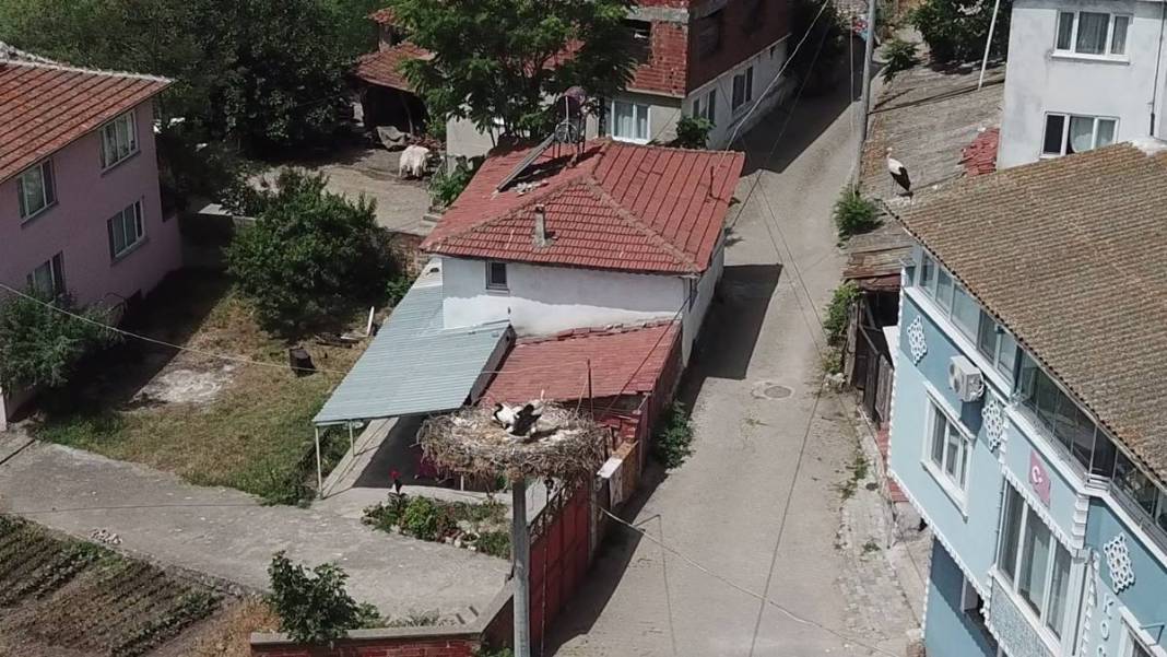 Yaren leylek ile eşi Nazlı'dan 10 gün sonra sevindiren haber! Su ve mineral kaybı ile enfeksiyon vardı 29